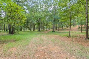 516 Willingham Road - Photo 18