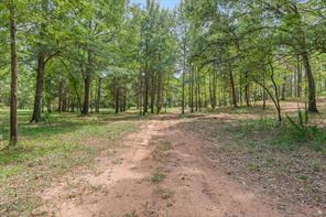 516 Willingham Road - Photo 2