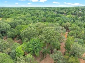 516 Willingham Road - Photo 9