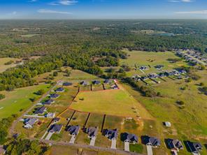 15610 County Road 436 - Photo 5