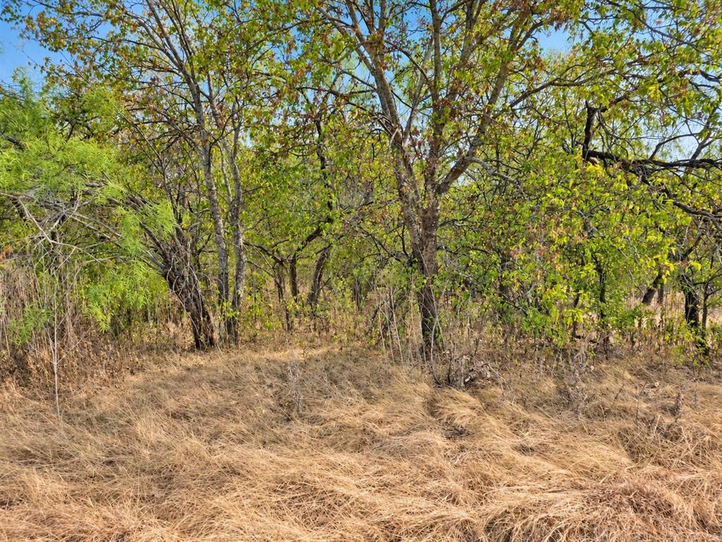 156 Private Road 226 - Photo 7