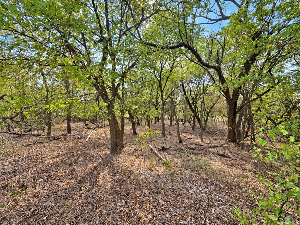 156 Private Road 226 - Photo 9