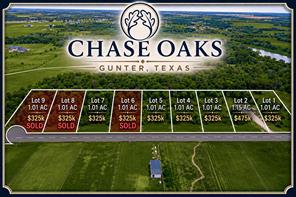 Lot 5 - Chase Oaks Bledsoe Road - Photo 6