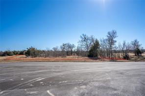 Lot 20 Lago Vista Drive - Photo 2