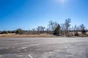 Lot 20 Lago Vista Drive - Photo 8