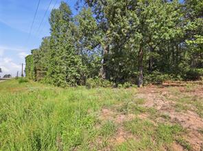 5015 Fm 49 - Photo 10