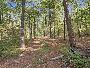 5015 Fm 49 - Photo 12
