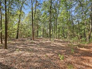 5015 Fm 49 - Photo 13