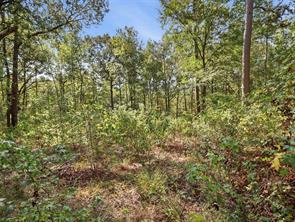 5015 Fm 49 - Photo 14