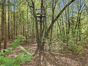 5015 Fm 49 - Photo 15