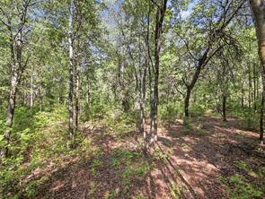 5015 Fm 49 - Photo 17