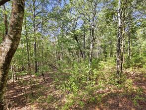 5015 Fm 49 - Photo 18