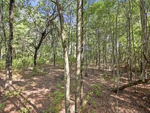 5015 Fm 49 - Photo 19