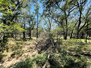 TBD Shiloh Sharps Landing - Photo 10