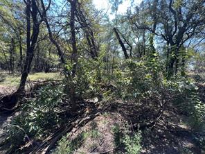 TBD Shiloh Sharps Landing - Photo 11