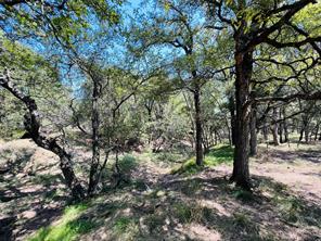 TBD Shiloh Sharps Landing - Photo 13