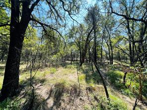 TBD Shiloh Sharps Landing - Photo 17