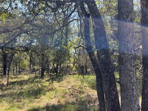 TBD Shiloh Sharps Landing - Photo 19