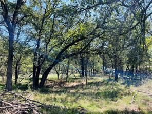TBD Shiloh Sharps Landing - Photo 2