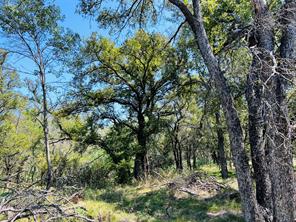 TBD Shiloh Sharps Landing - Photo 3