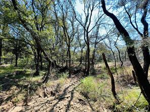TBD Shiloh Sharps Landing - Photo 5