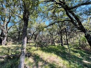 TBD Shiloh Sharps Landing - Photo 8