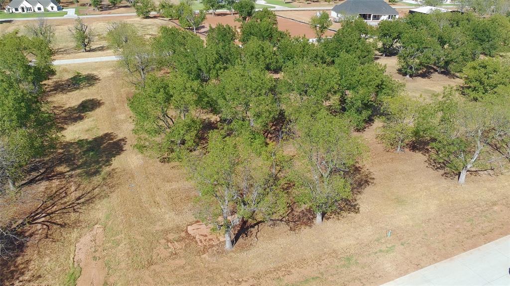 1430 Cirrus Loop - Photo 1