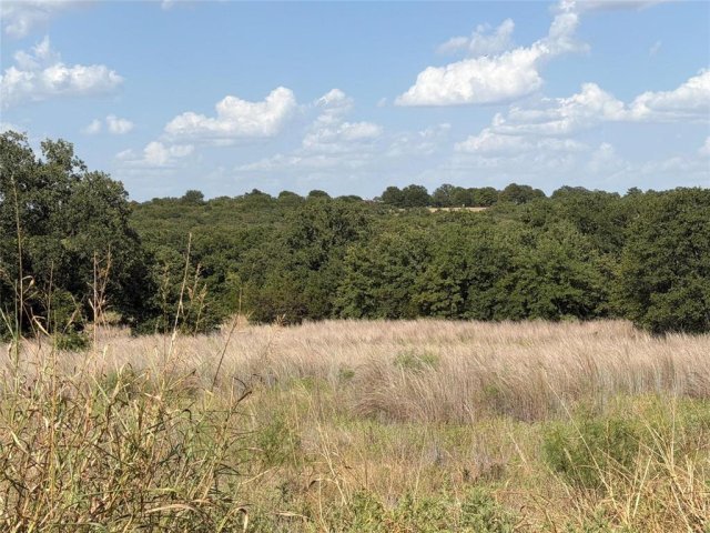 Lot 51 TBD Turkey Court