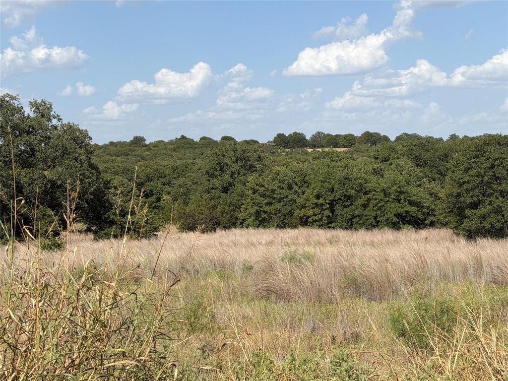Lot 51 TBD Turkey Court - Photo 1