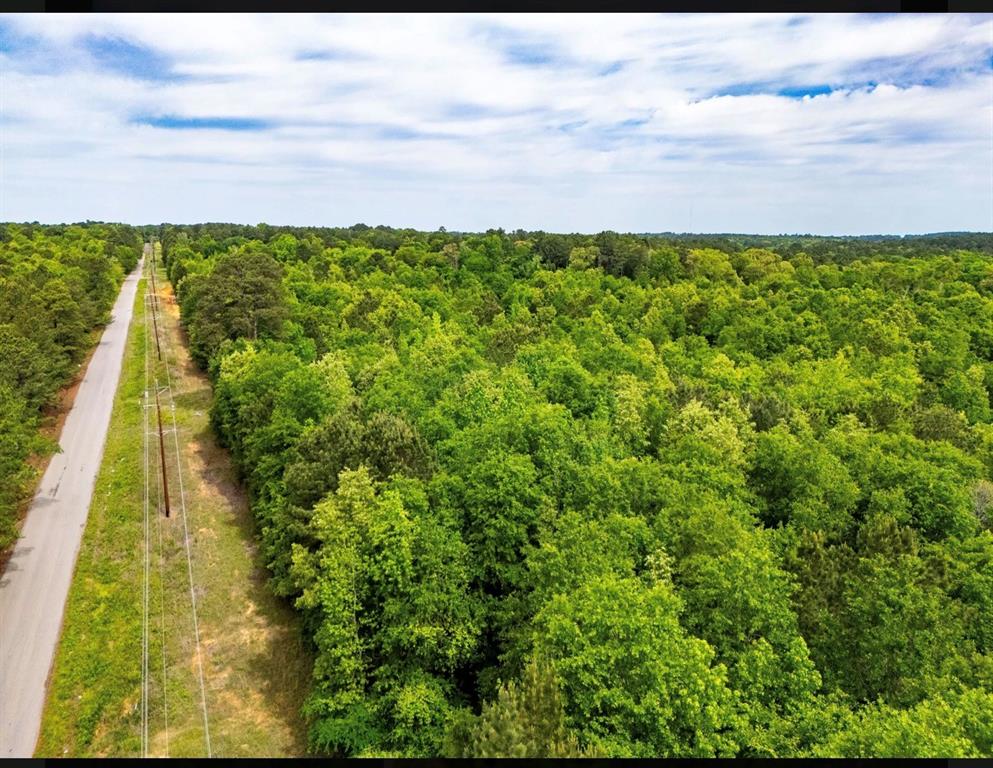TBD white oak road - Photo 1