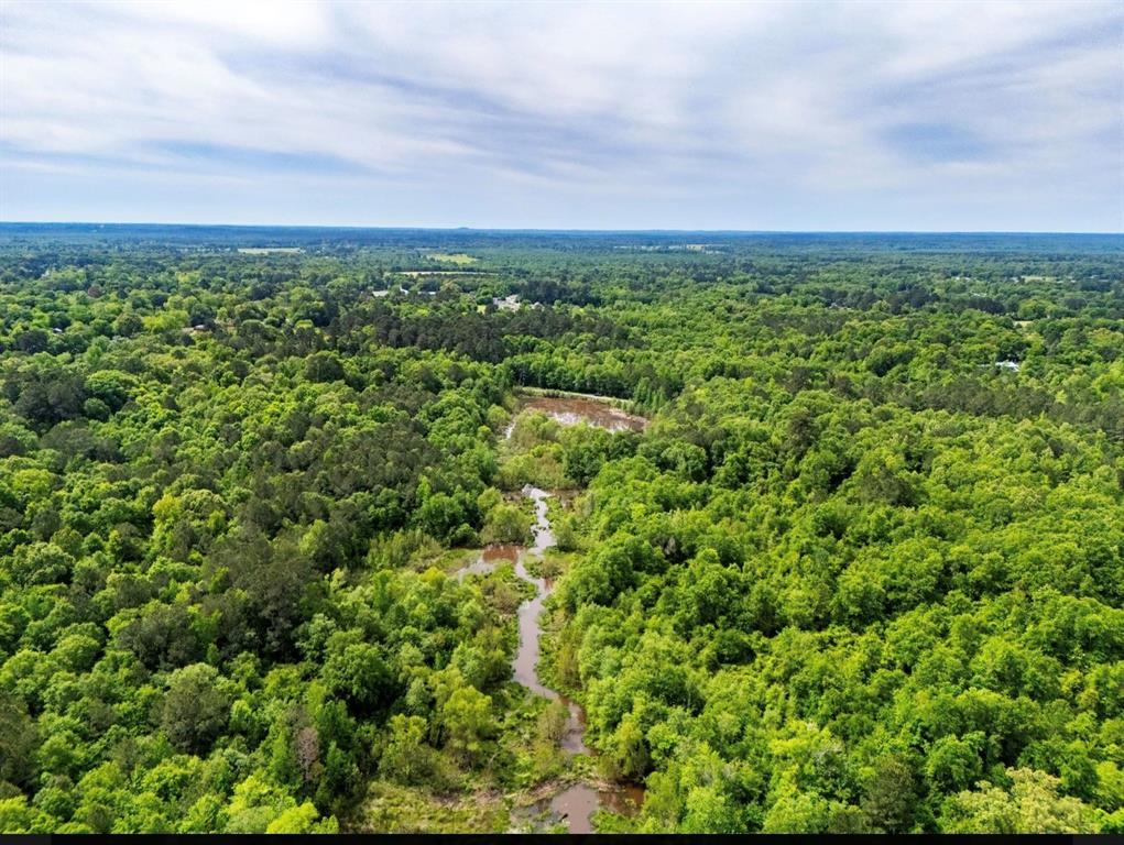 TBD white oak road - Photo 2