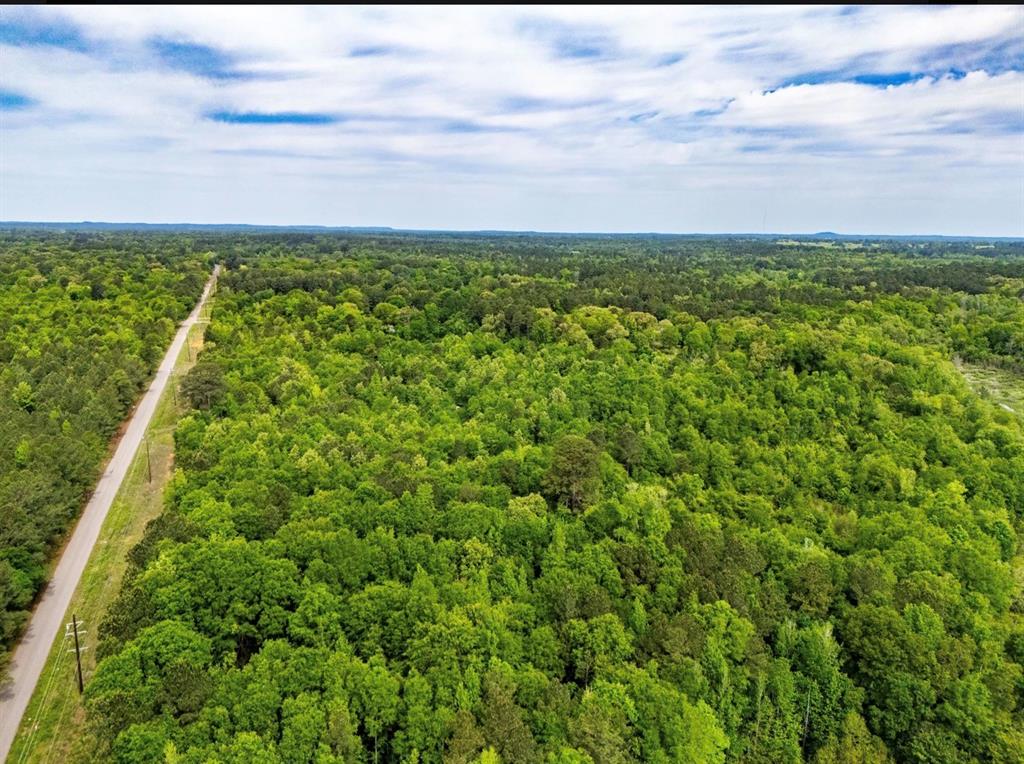 TBD white oak road - Photo 3