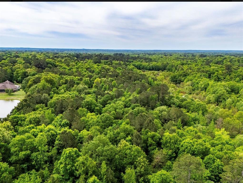 TBD white oak road - Photo 4
