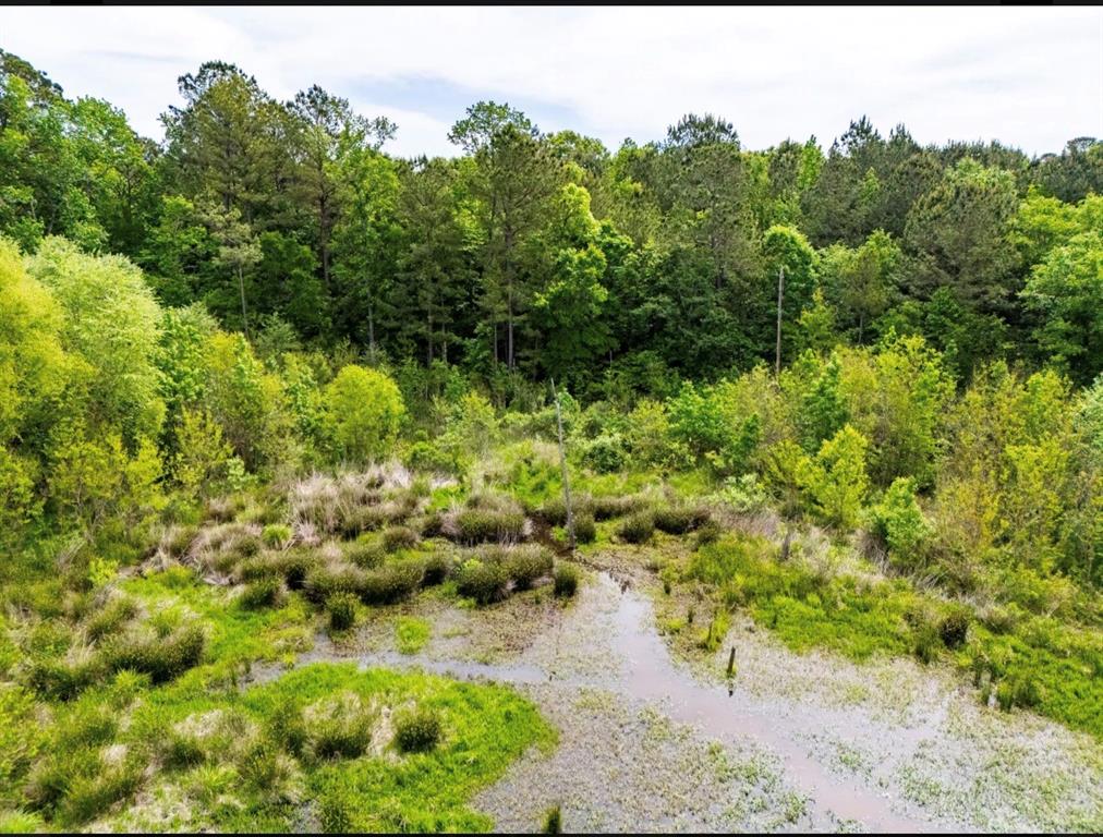 TBD white oak road - Photo 6