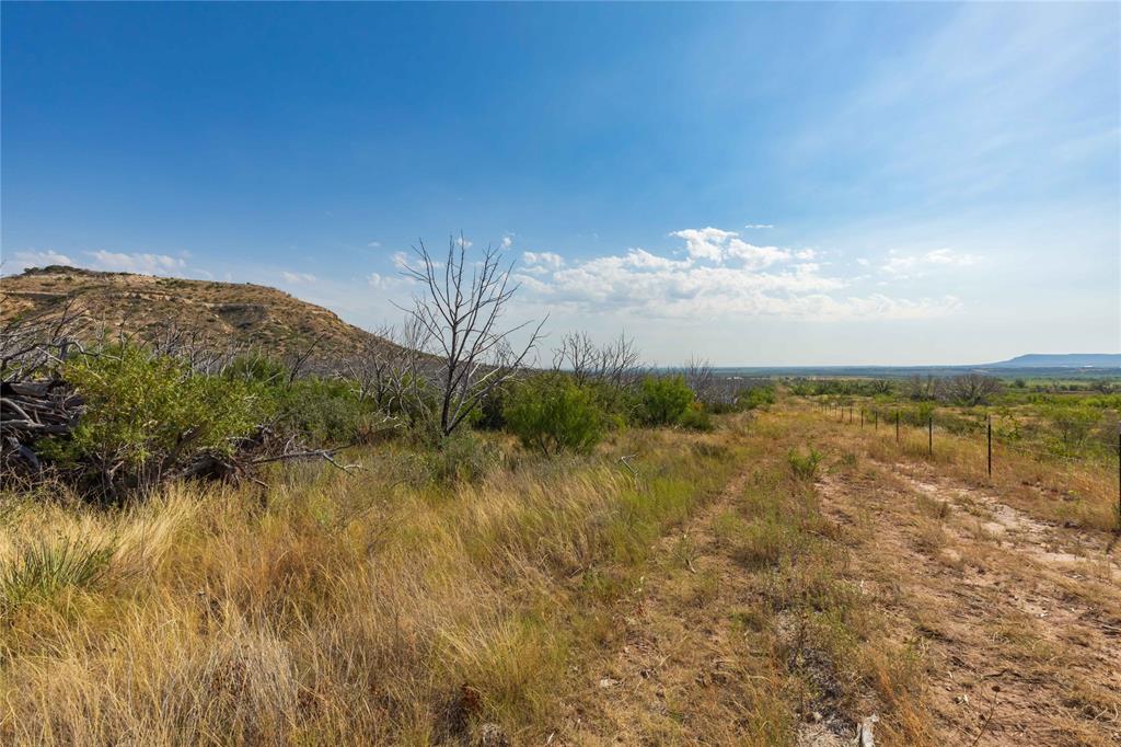 1034 Braune Road - Photo 7