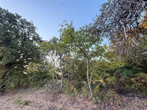 481 County Rd 1650 - Photo 14