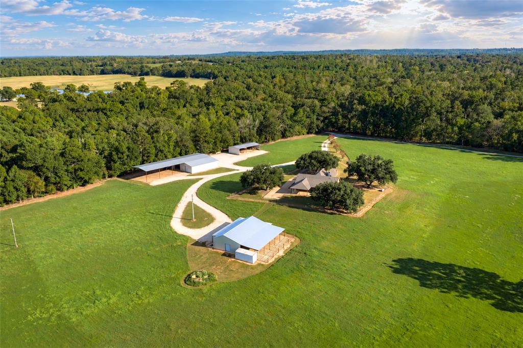 3219 County Road 1508 - Photo 1