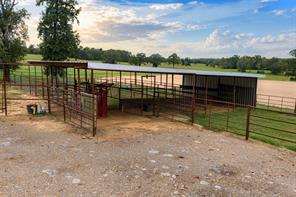 3219 County Road 1508 - Photo 17