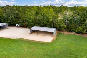 3219 County Road 1508 - Photo 19