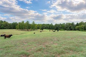 3219 County Road 1508 - Photo 23