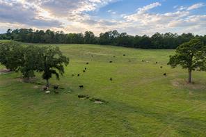 3219 County Road 1508 - Photo 24