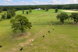 3219 County Road 1508 - Photo 25