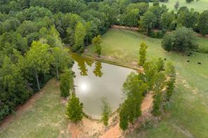 3219 County Road 1508 - Photo 27