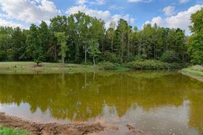 3219 County Road 1508 - Photo 28