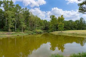 3219 County Road 1508 - Photo 29