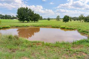 3219 County Road 1508 - Photo 30