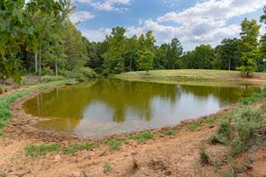 3219 County Road 1508 - Photo 31