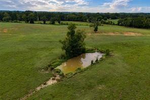 3219 County Road 1508 - Photo 32