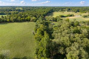 3219 County Road 1508 - Photo 35