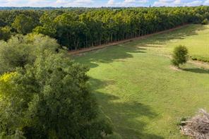 3219 County Road 1508 - Photo 36